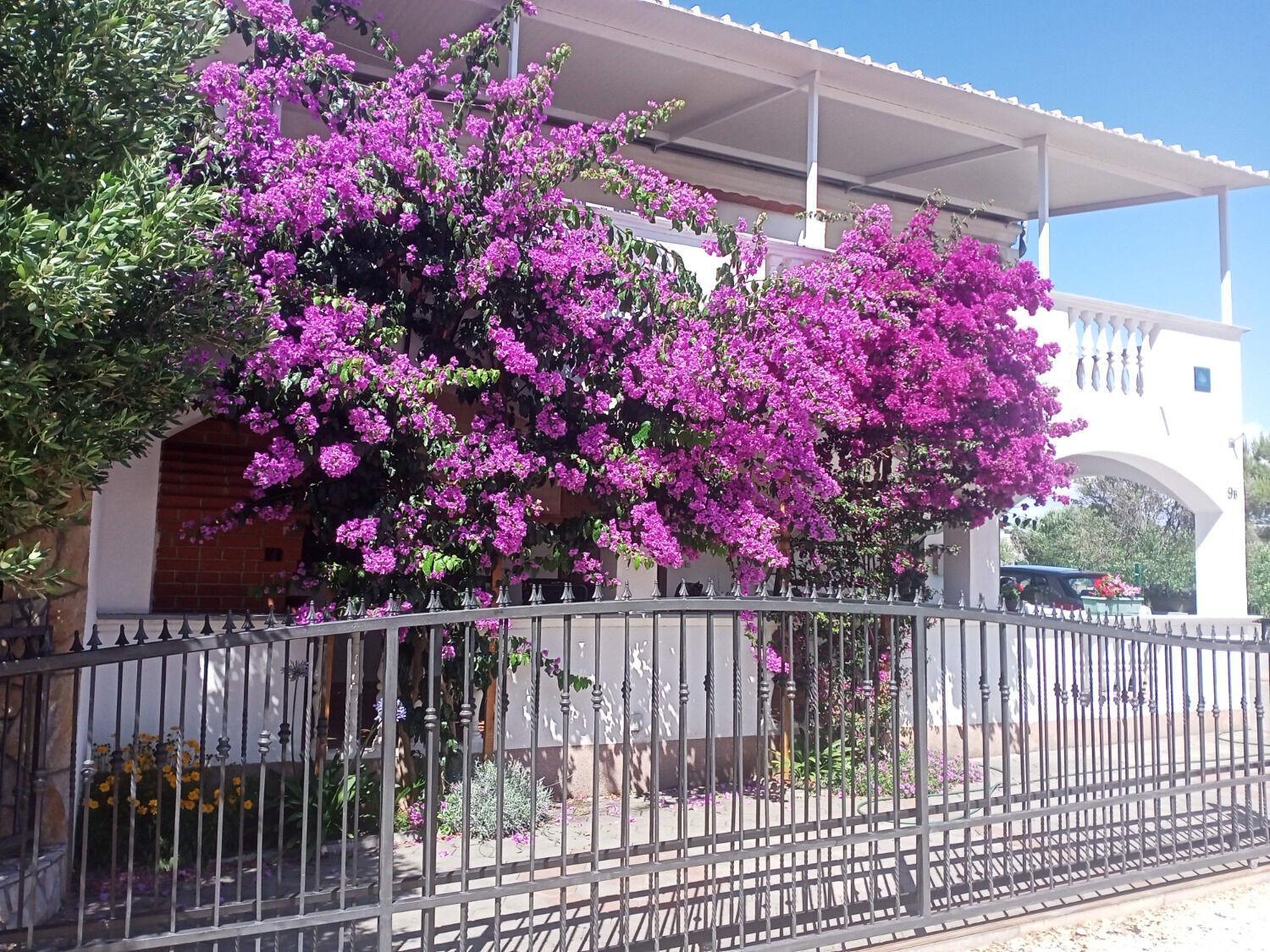 Apartments Marijan Drage Exterior photo